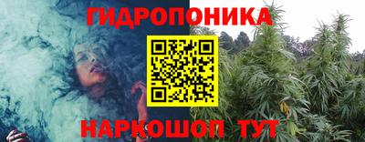 стафф Бузулук