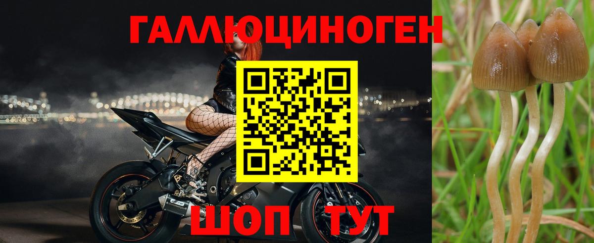 Псилоцибиновые грибы ЛСД  Вход с VPN  Нефтекамск 
